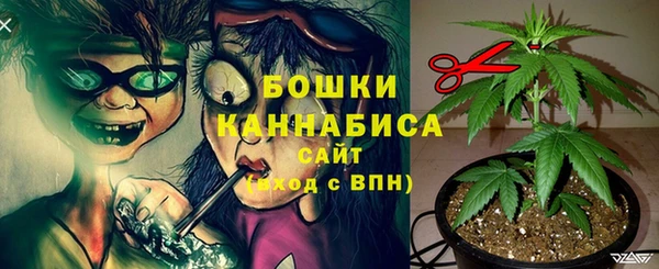 PSILOCYBIN Волоколамск